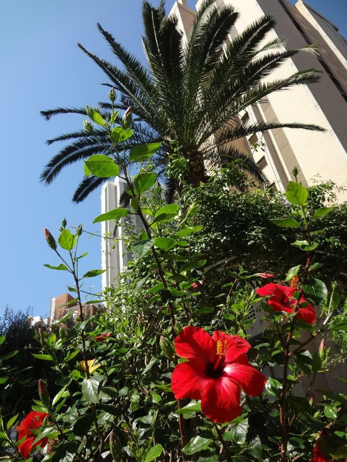 Best View - Welcome Penthouse Apartamentos Karola 貝尼多姆 外观 照片